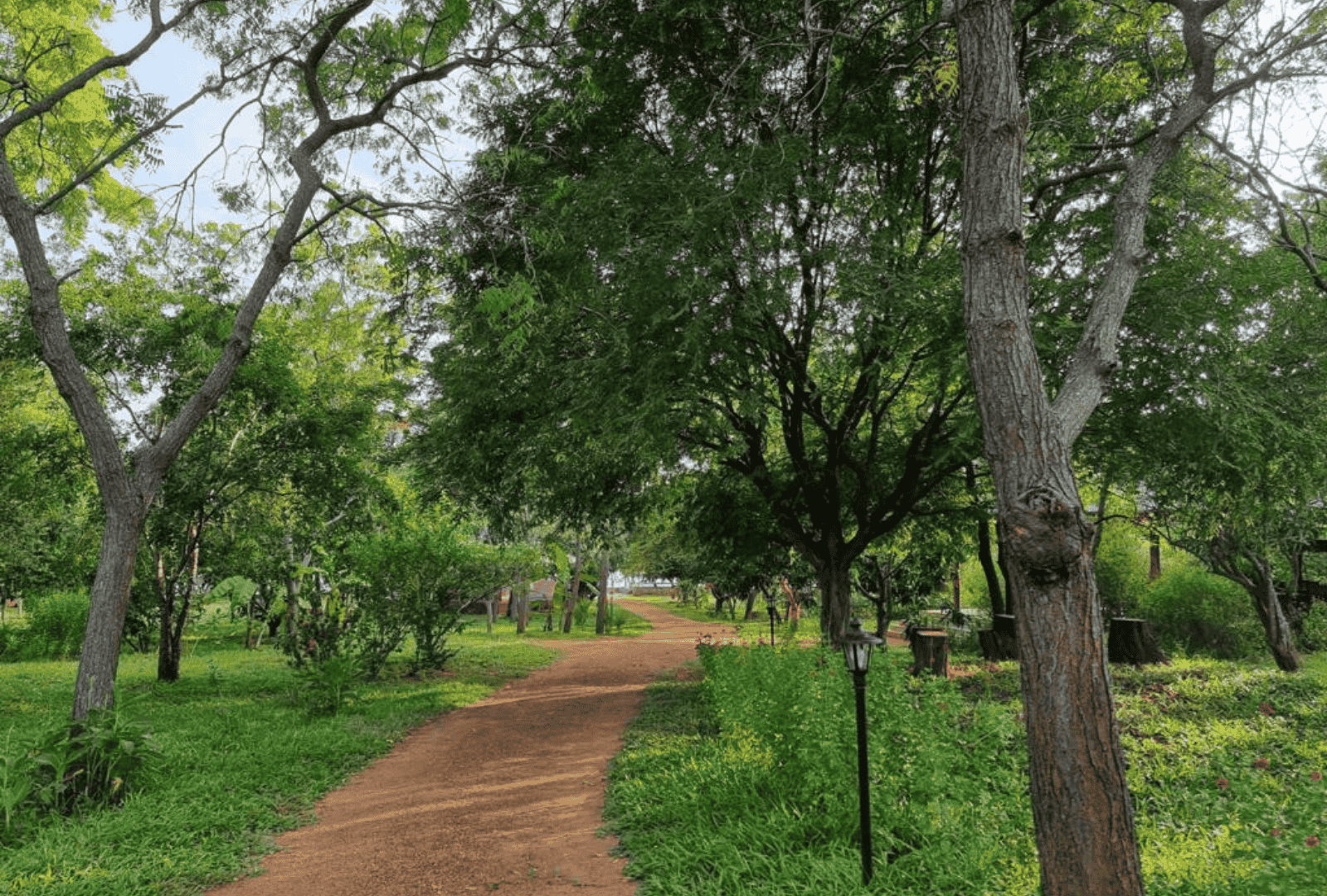 Untitled design - 2025-10-10T084951.974